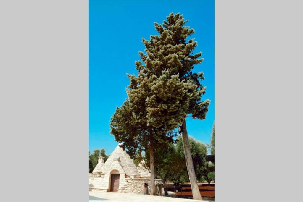 Trulli Monteforte Villa Castelli Buitenkant foto